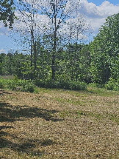 21896 Concession Road 10 Road • South Glengarry, ON photo 9