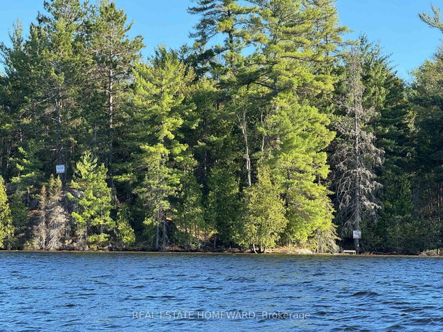 Boat Access on Mason Island