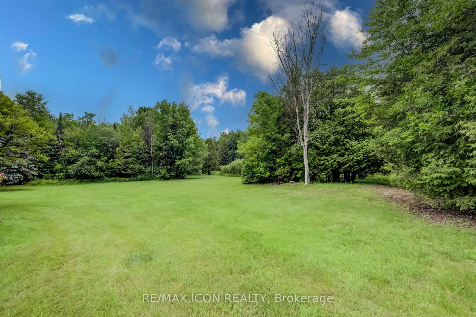 7298 8 Side Road W • Wellington North, ON photo 44