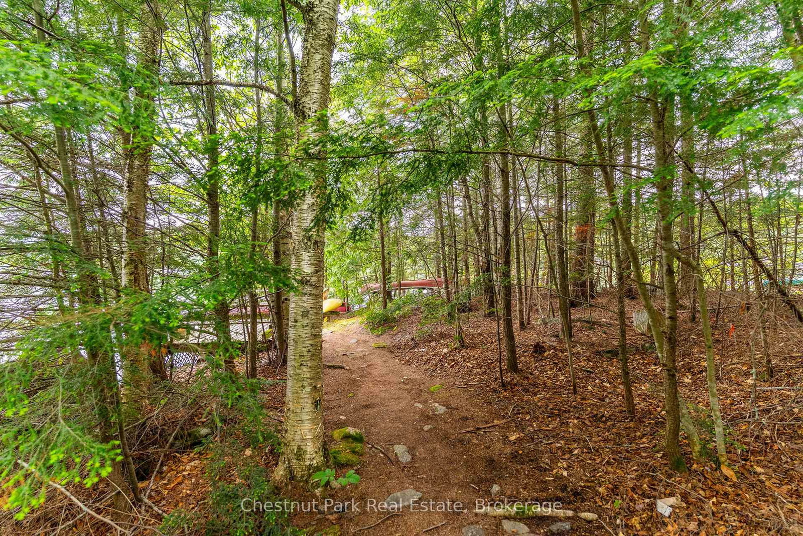 5278 Kennisis Lake Road • Dysart et al, ON photo 29