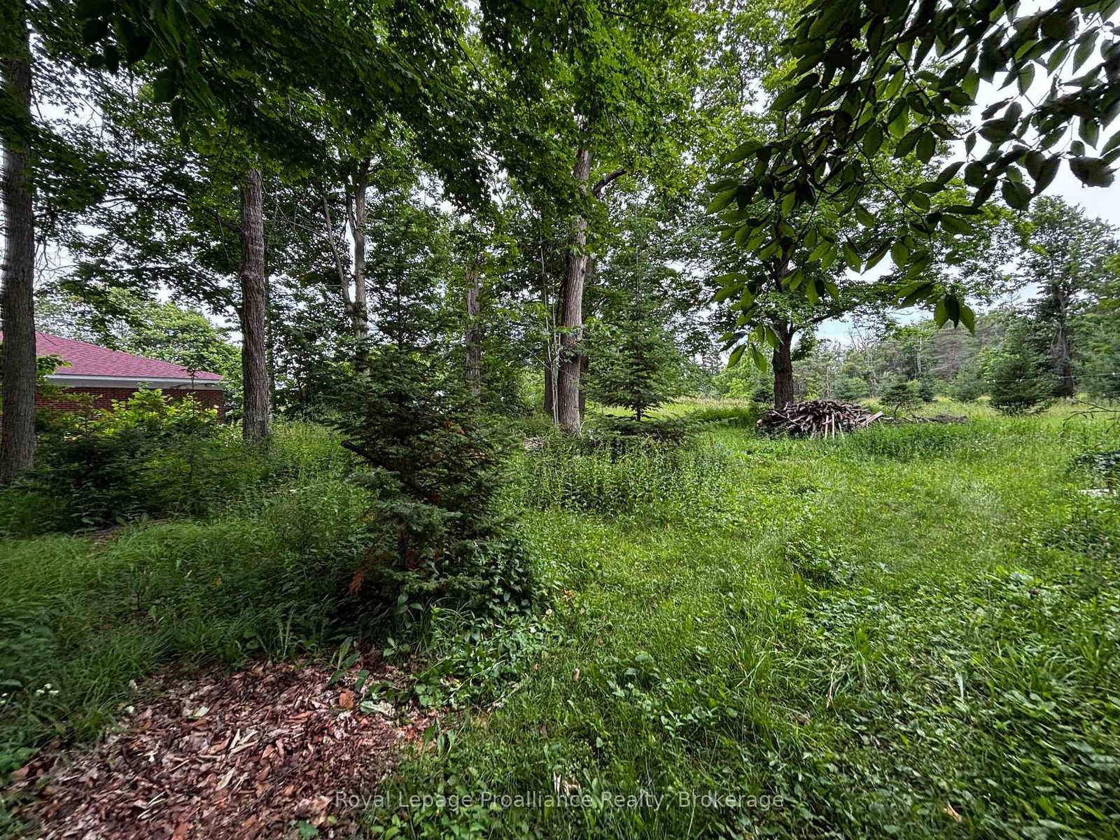 2683 Maplegrove Road • Cavan Monaghan, ON photo 20