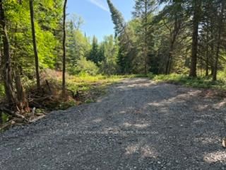 0 Pt Lt 13 Con 8 Road — photo 2
