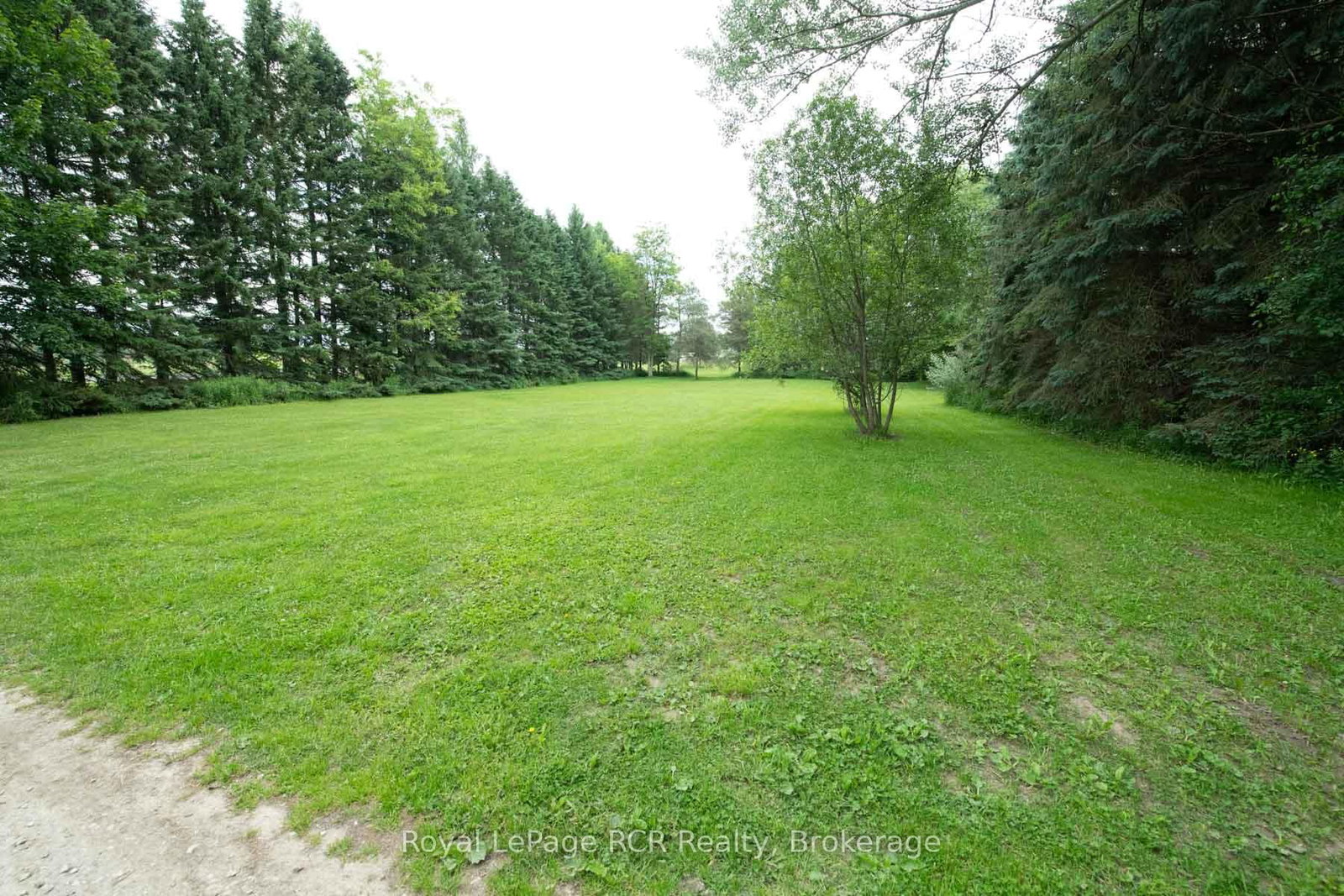 7589 HIGHWAY 89 E • Wellington North, ON photo 17