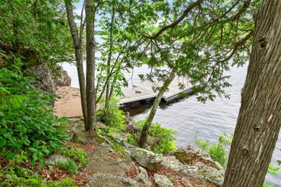 488 Gull Creek Lane • Tamworth, ON photo 4