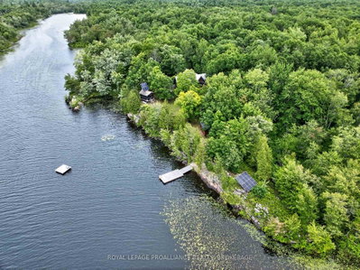 488 Gull Creek Lane • Tamworth, ON photo 8
