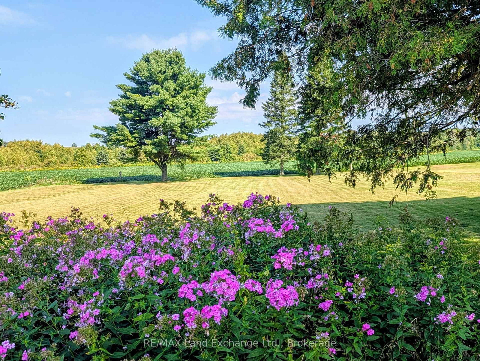 2866 Hwy 9 Highway • Brockton, ON photo 38