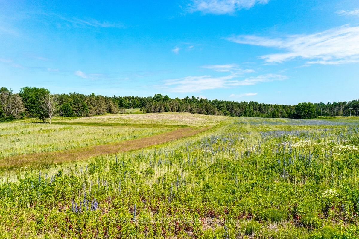 938198 Airport Road • Mulmur, ON photo 41