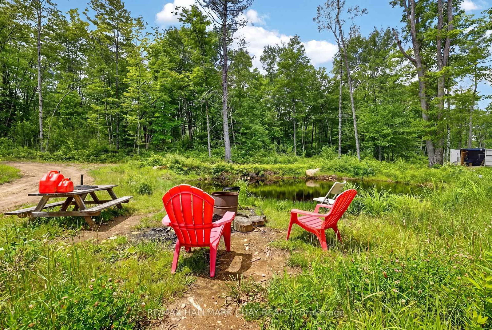 Lot 29 Concessi Franklin • Lake of Bays, ON photo 10