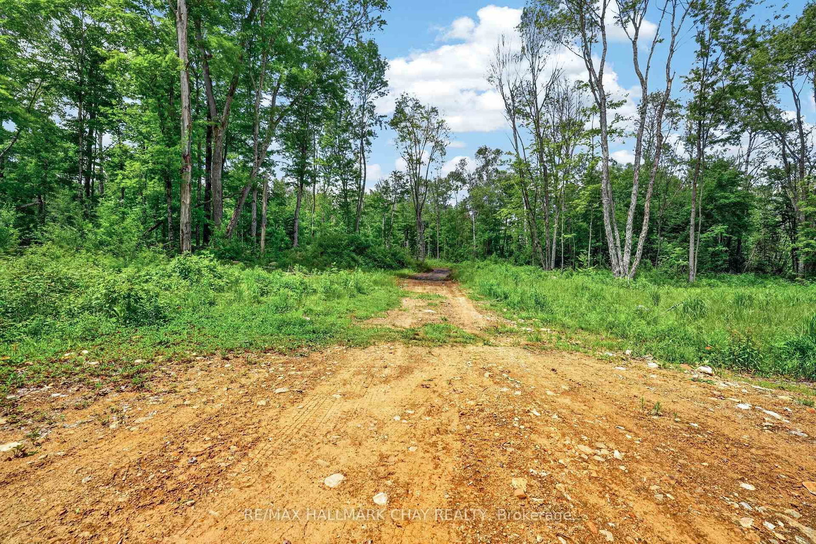 Lot 29 Concessi Franklin • Lake of Bays, ON photo 25