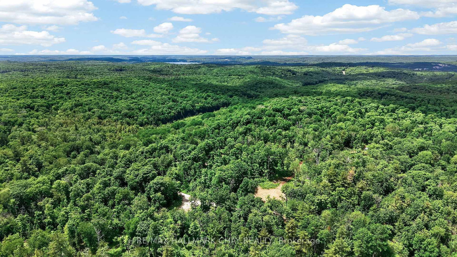 Lot 29 Concessi Franklin • Lake of Bays, ON photo 27