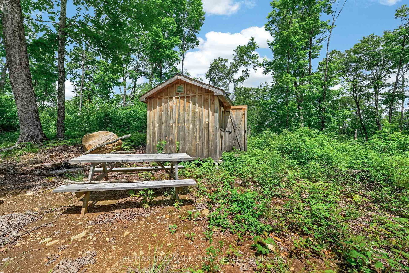 Lot 29 Concessi Franklin • Lake of Bays, ON photo 31
