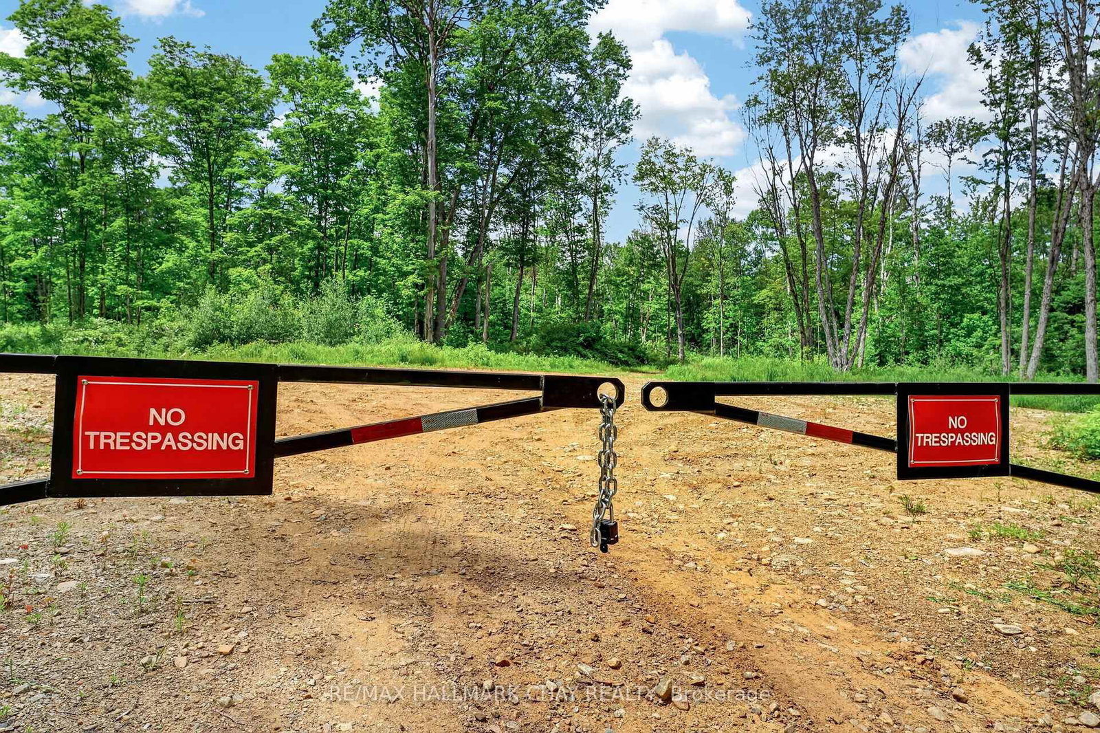 Lot 29 Concessi Franklin • Lake of Bays, ON photo 34