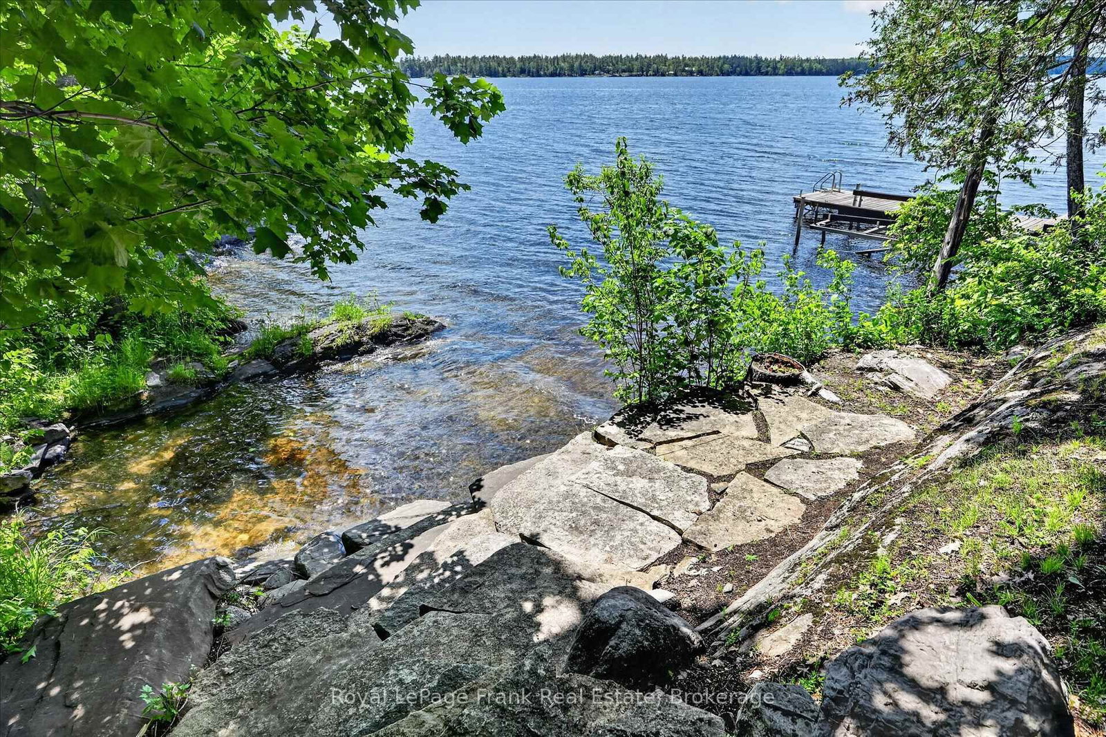 61 Napier Crescent • North Kawartha, ON photo 40