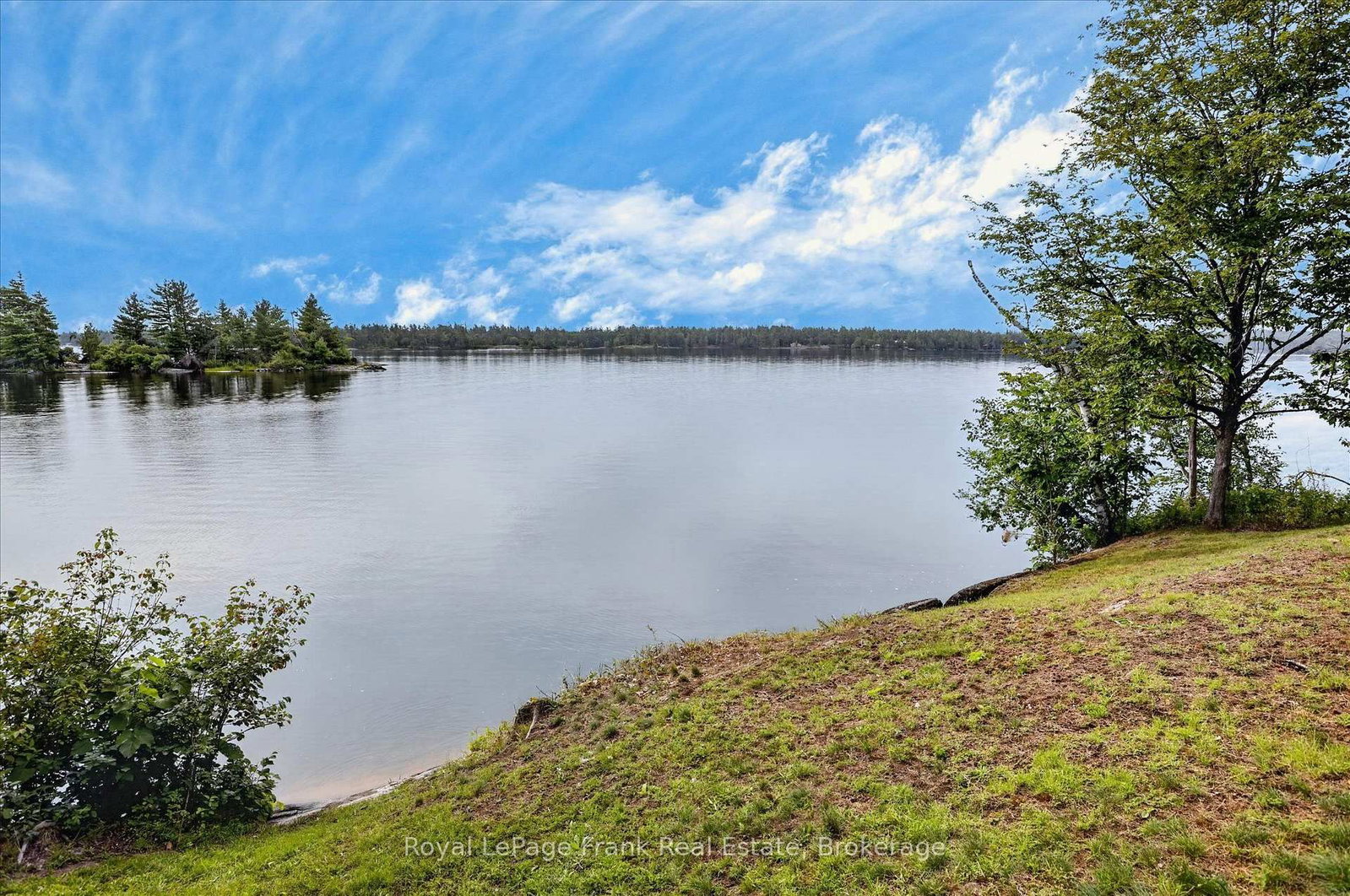 61 Napier Crescent • North Kawartha, ON photo 43
