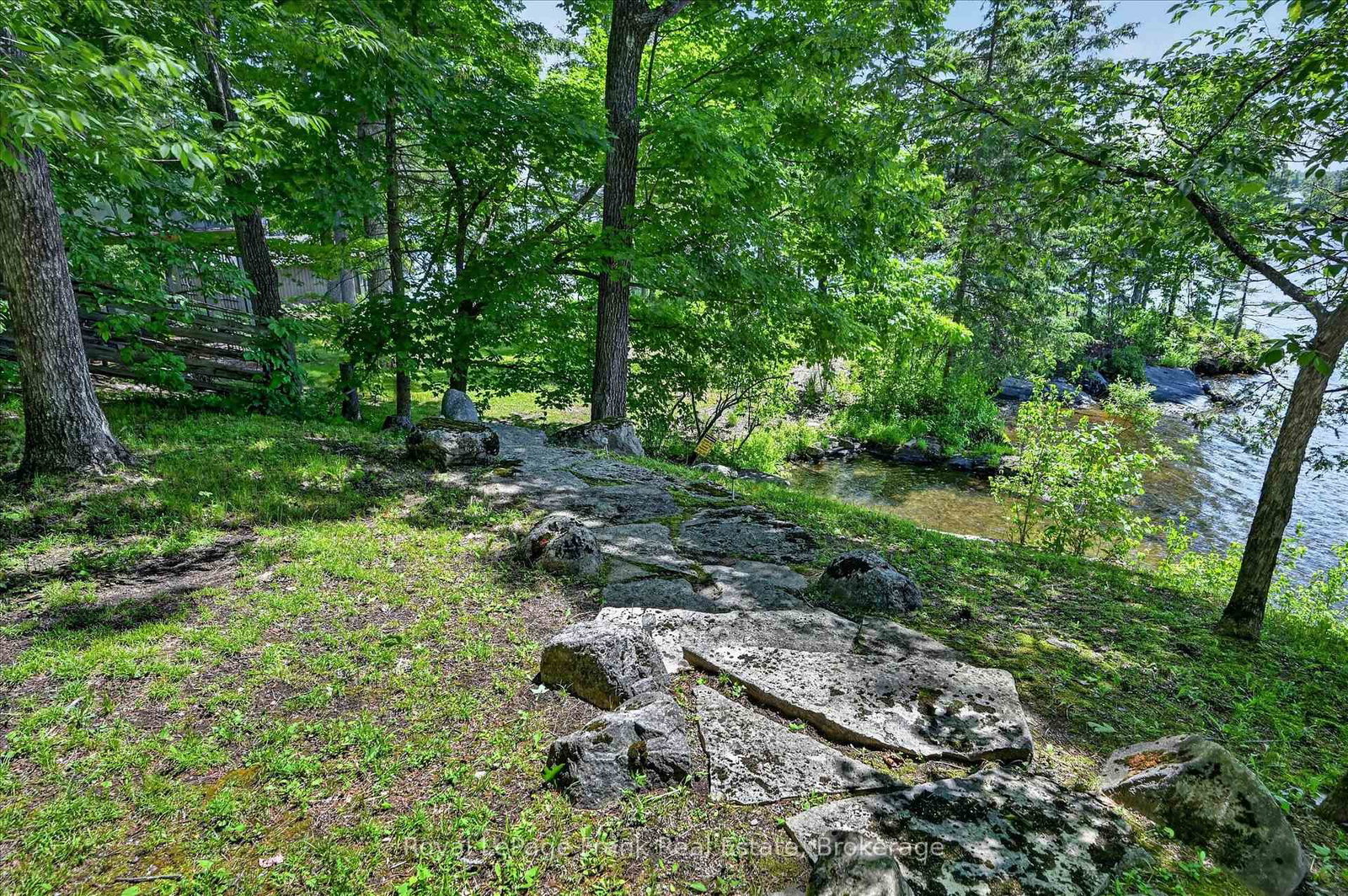 61 Napier Crescent • North Kawartha, ON photo 45