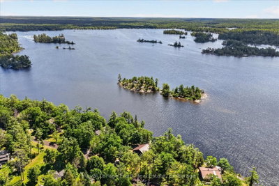 61 Napier Crescent • North Kawartha, ON photo 5