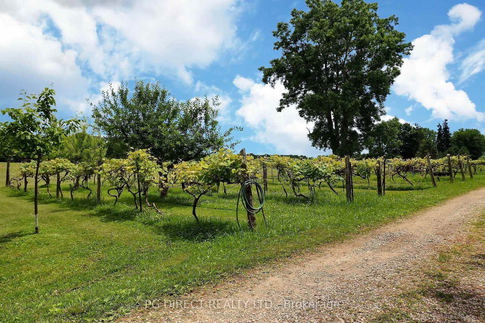 26820 Marsh Line • Dutton/Dunwich, ON photo 23