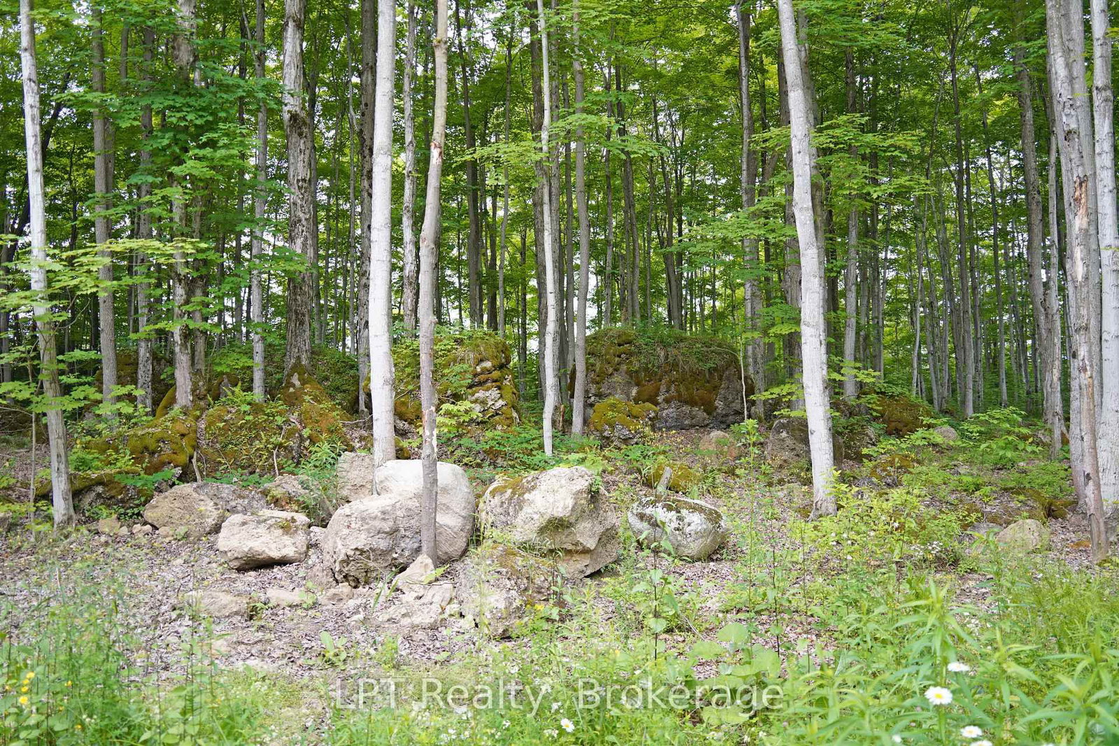 382488 CONCESSION 17 Road • Georgian Bluffs, ON photo 43