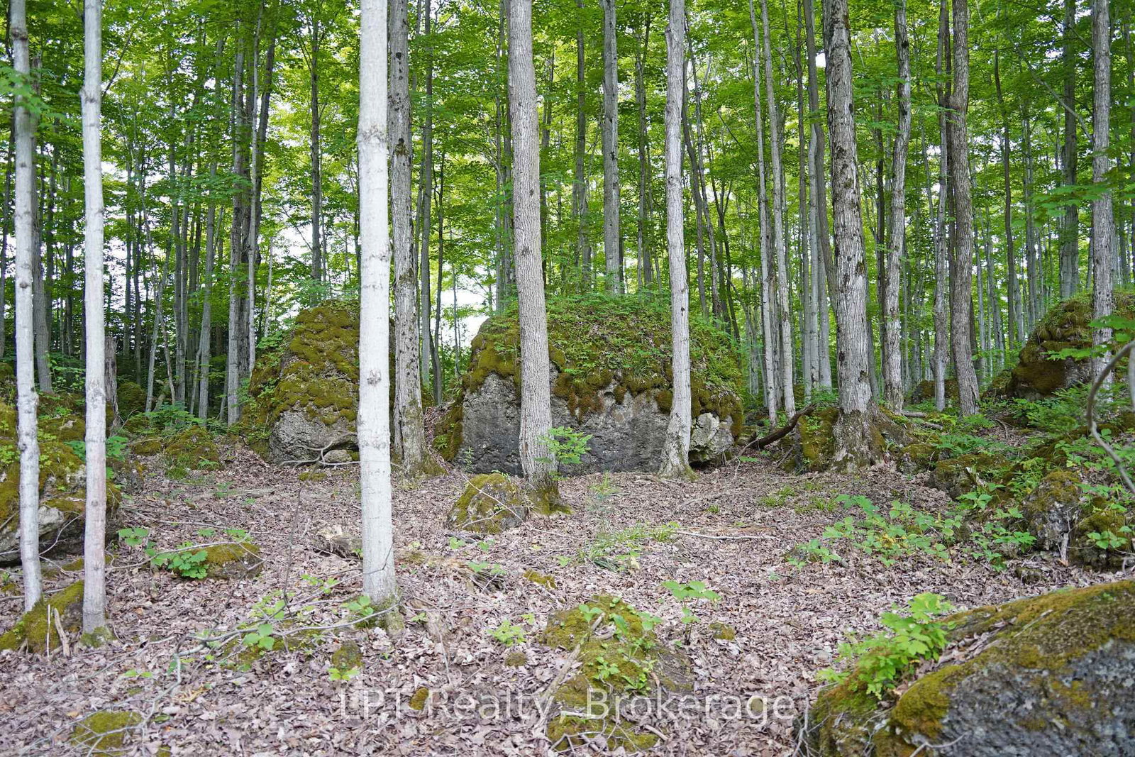 382488 CONCESSION 17 Road • Georgian Bluffs, ON photo 44