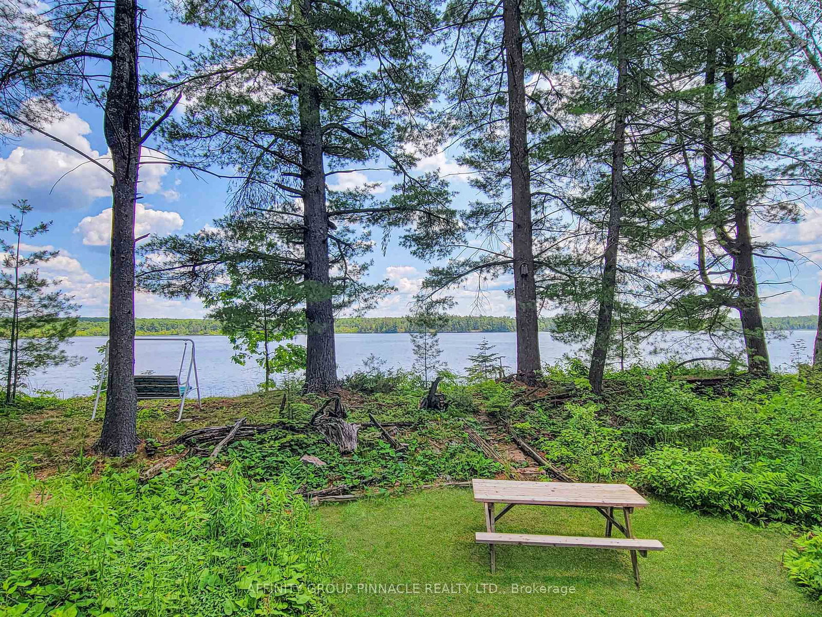 396 North Shore Road • Kawartha Lakes, ON photo 5