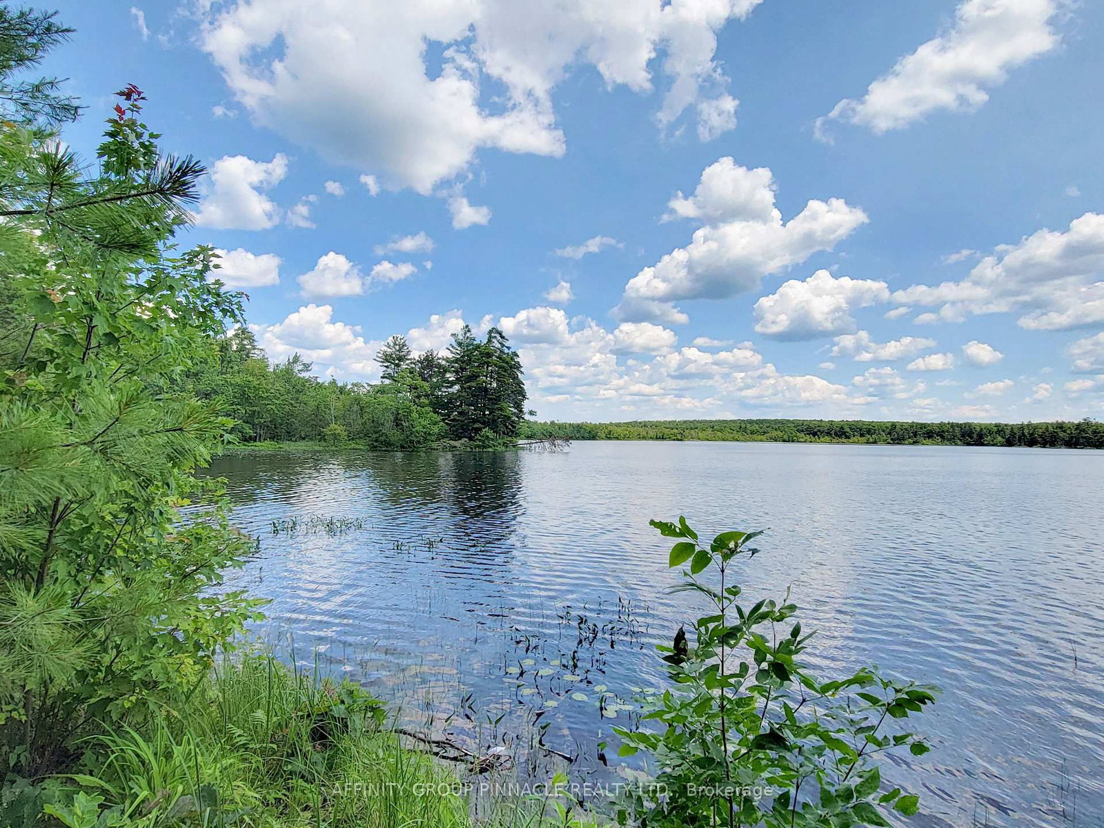 396 North Shore Road • Kawartha Lakes, ON photo 8