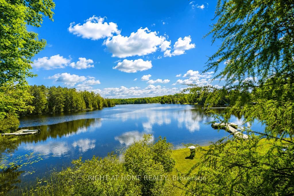1105 Pioneer Road • Highlands East, ON photo 5