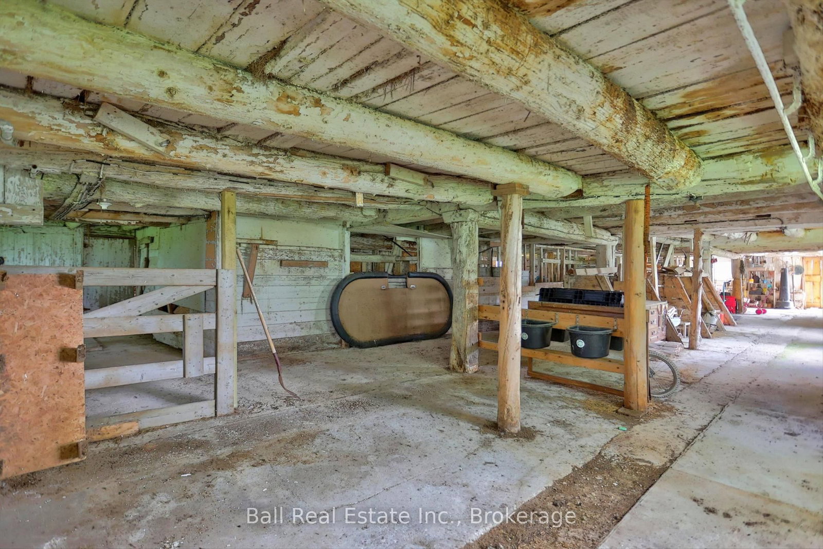 1963 Buckhorn Road • Selwyn, ON photo 44