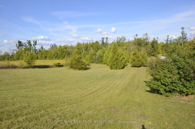 505 Scotch Line Road • Kawartha Lakes, ON photo 4