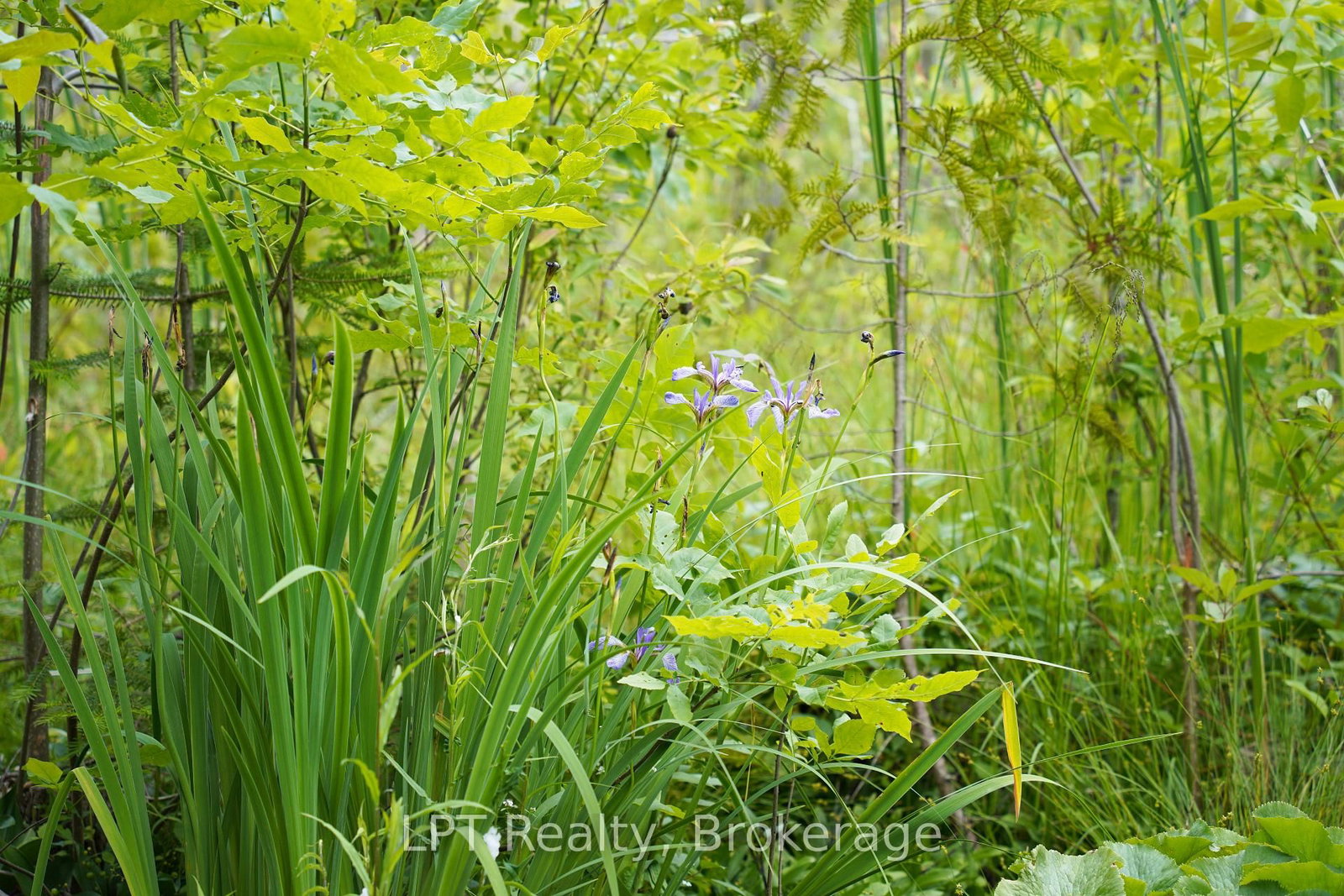 454 Highway 6 • South Bruce Peninsula, ON photo 42