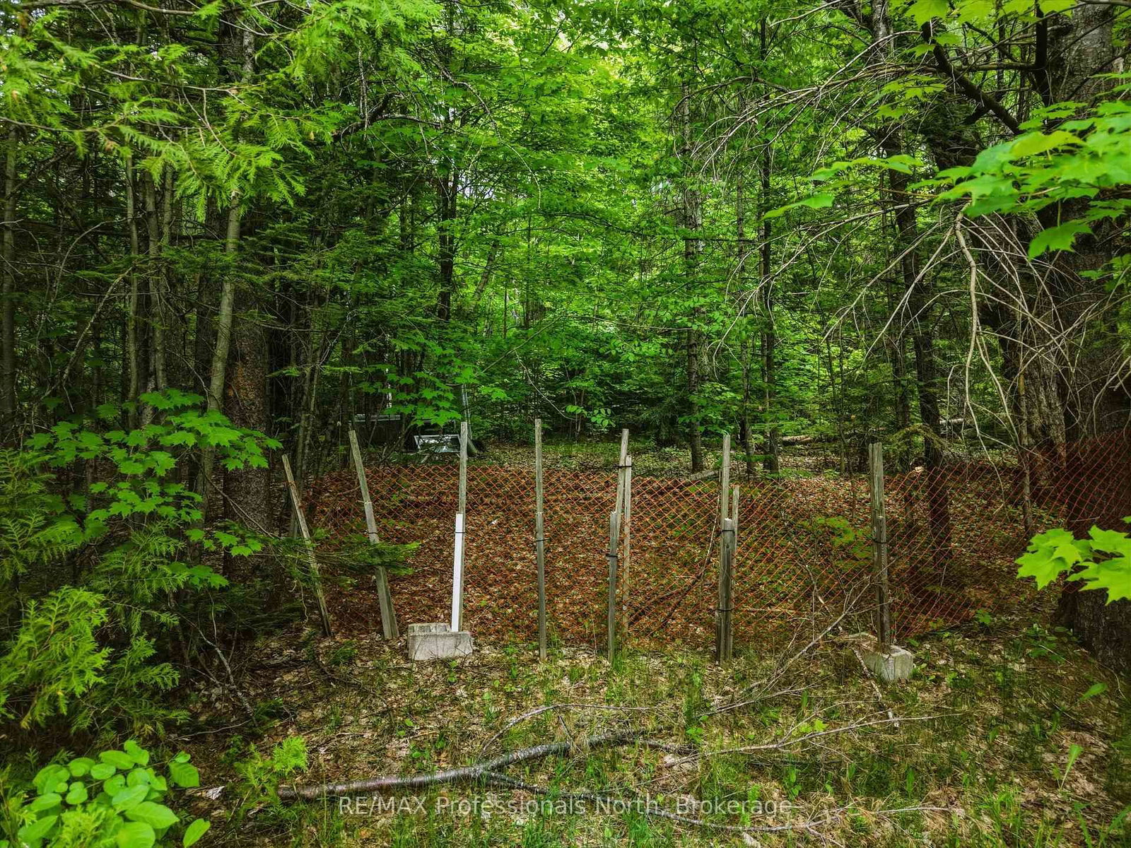 2445 Manitoba Street • Bracebridge, ON photo 10