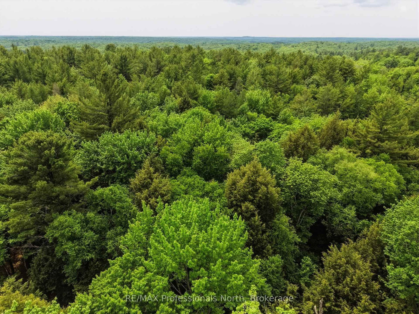 2445 Manitoba Street • Bracebridge, ON photo 8