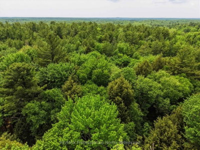 2445 Manitoba Street • Bracebridge, ON photo 8