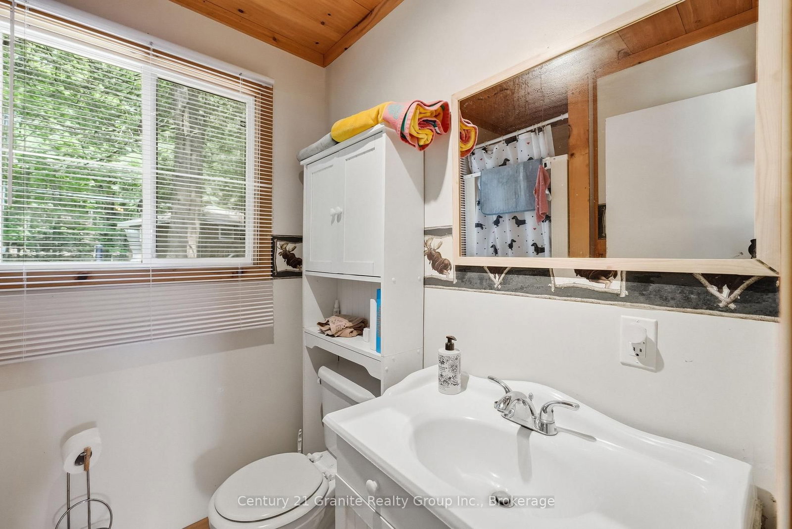 1163 REYNOLDS Road • Minden Hills, ON photo 15