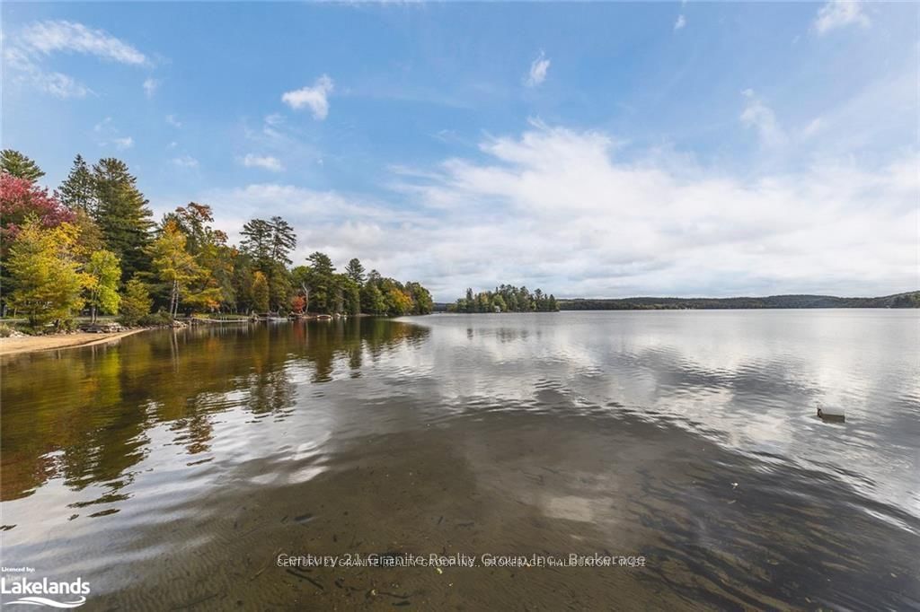 1163 REYNOLDS Road • Minden Hills, ON photo 19