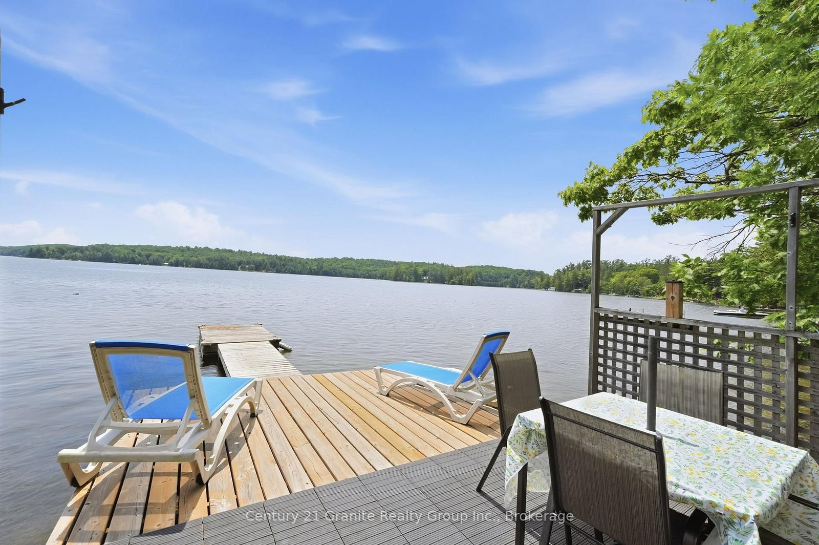1163 REYNOLDS Road • Minden Hills, ON photo 2