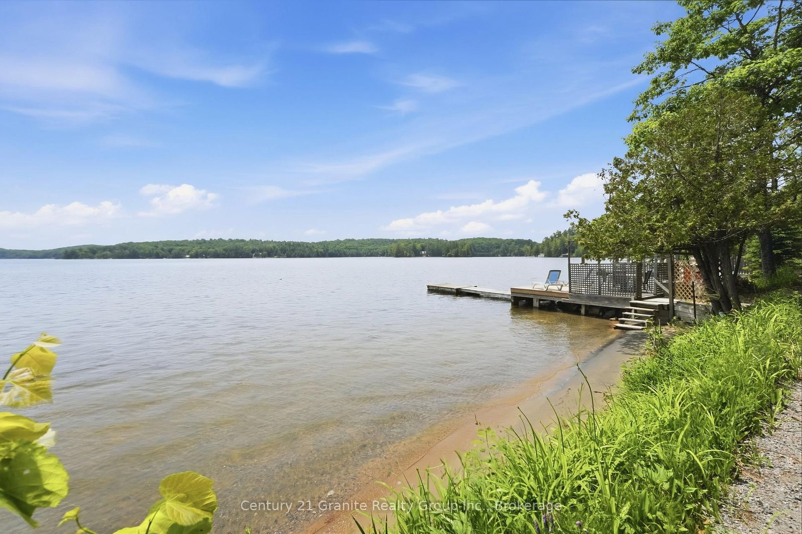 1163 REYNOLDS Road • Minden Hills, ON photo 3