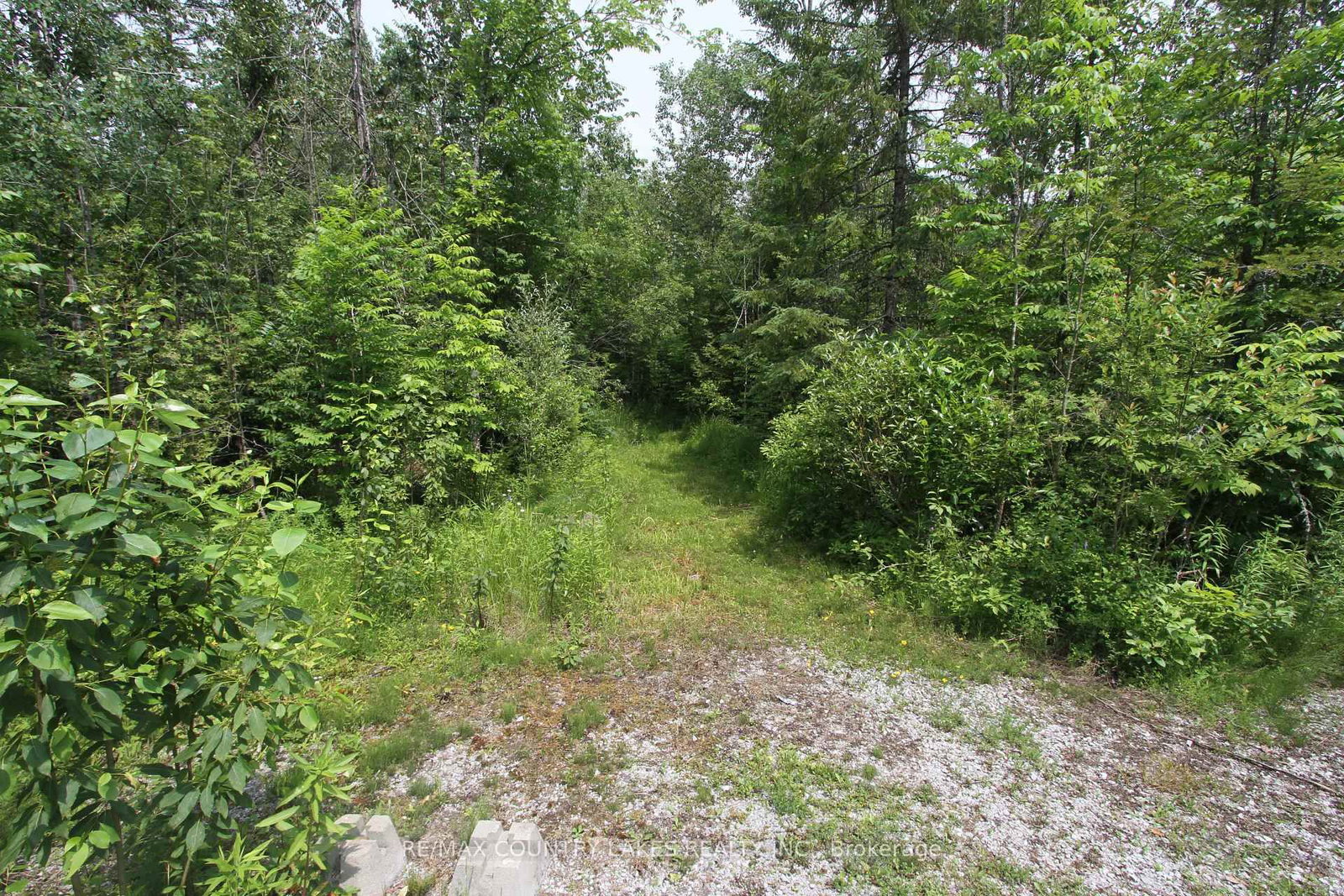 176 Maritime Road • Kawartha Lakes, ON photo 40