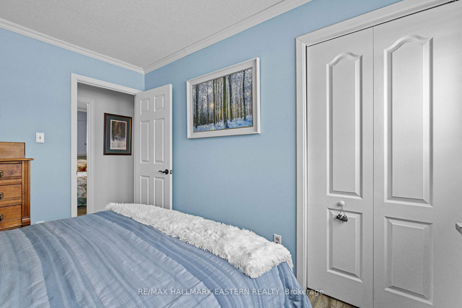 70 Birch Point Drive • Kawartha Lakes, ON photo 21