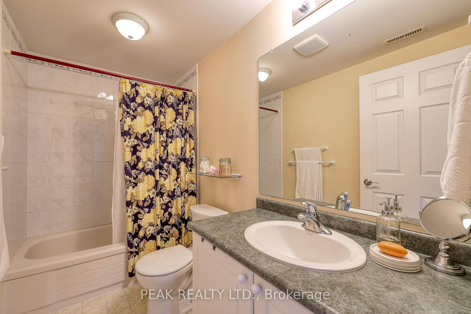 217 North Street E • Tillsonburg, ON photo 36