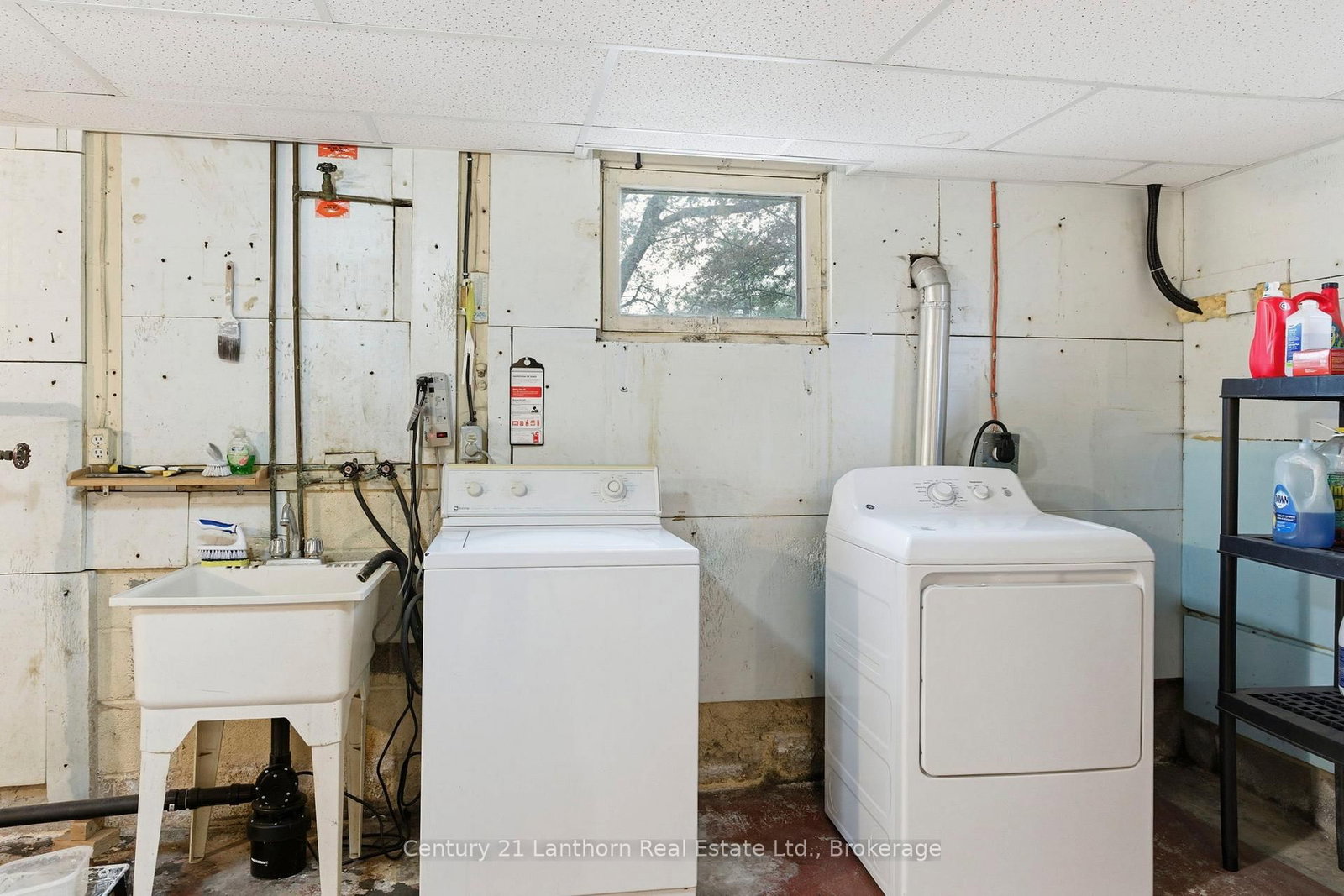 3517 Charleville Road • Augusta, ON photo 24