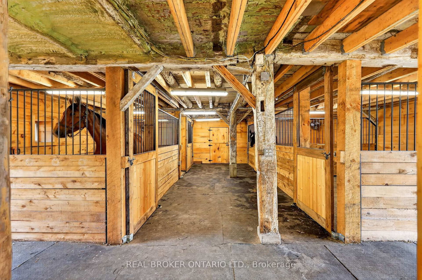 5074 County Road 29 Road • Almonte, ON photo 41
