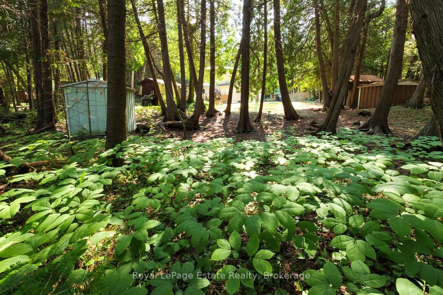 125 Third Avenue N • South Bruce Peninsula, ON photo 28