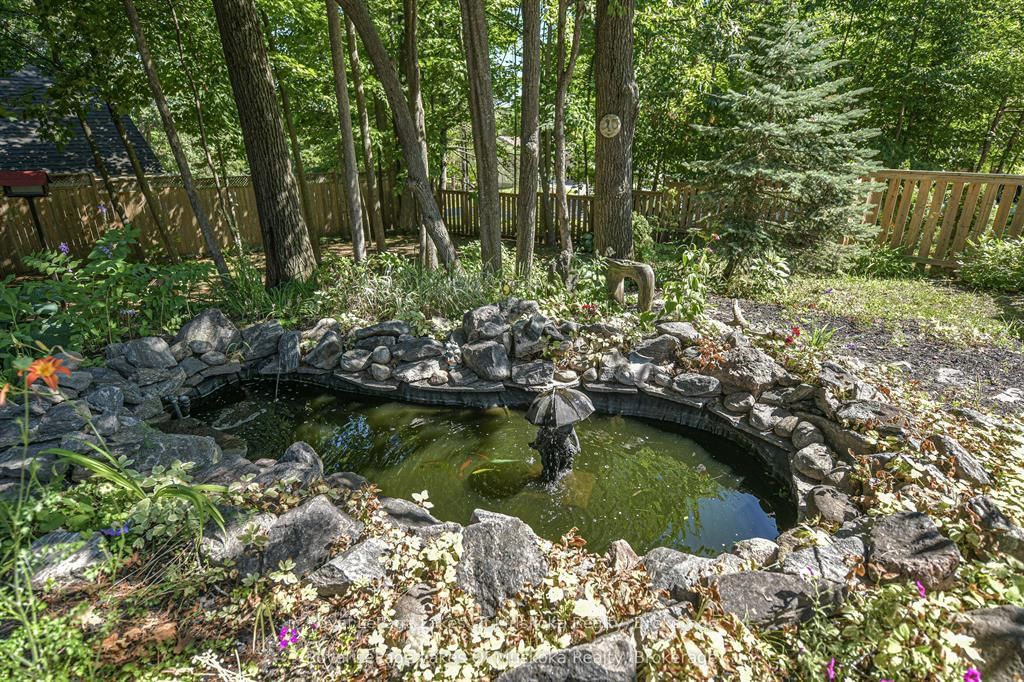 115 Douglas Street • Gravenhurst, ON photo 11