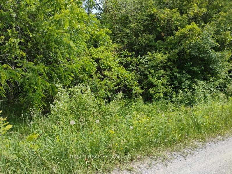 Lot 78 South Mountain Road • Kawartha Lakes, ON photo 10