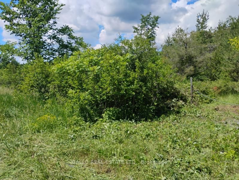 Lot 78 South Mountain Road • Kawartha Lakes, ON photo 4