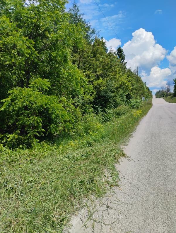 Lot 78 South Mountain Road • Kawartha Lakes, ON photo 5