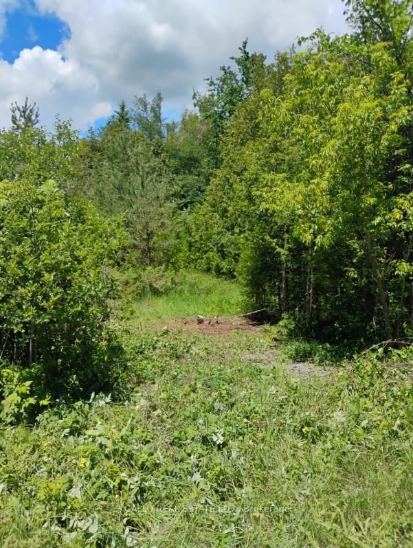 Lot 78 South Mountain Road • Kawartha Lakes, ON photo 6