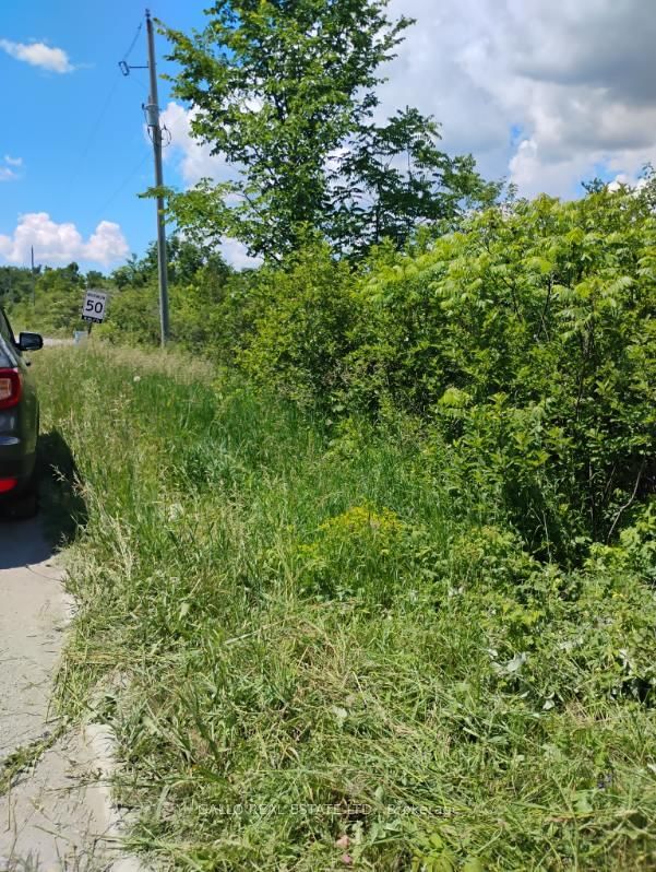 Lot 78 South Mountain Road • Kawartha Lakes, ON photo 7