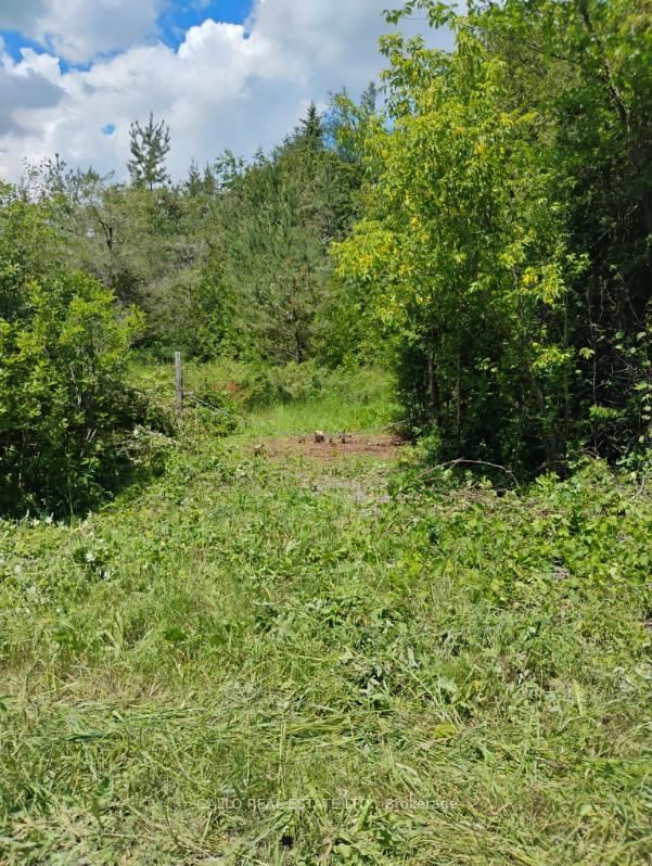 Lot 78 South Mountain Road • Kawartha Lakes, ON photo 8