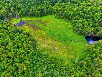 LOT 1 Bird Lake Road • Bracebridge, ON photo 6